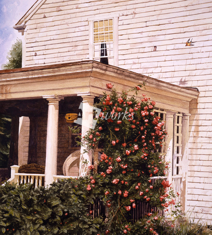 Brown_House_Flowers